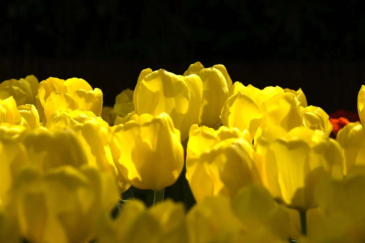 微信打赏二维码